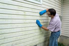 Best Custom Trim and Detailing for Siding  in Kannapolis, NC